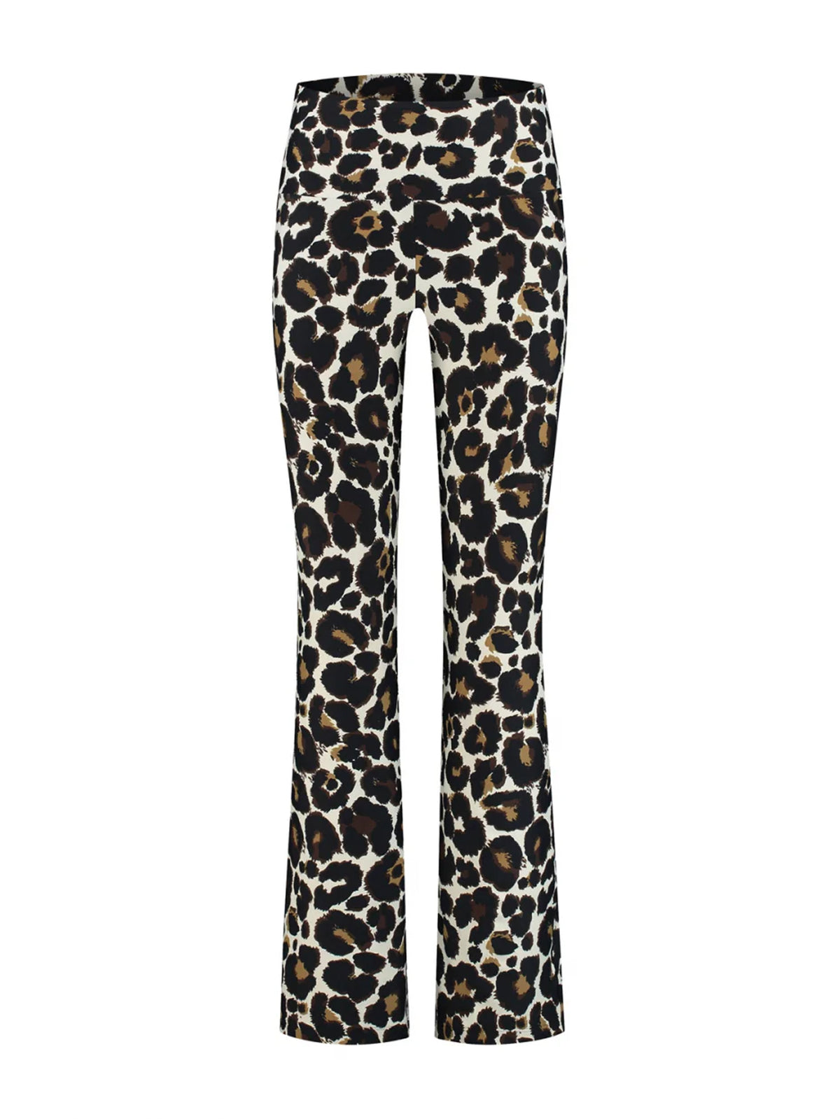 Celine Flared Leo-Legging