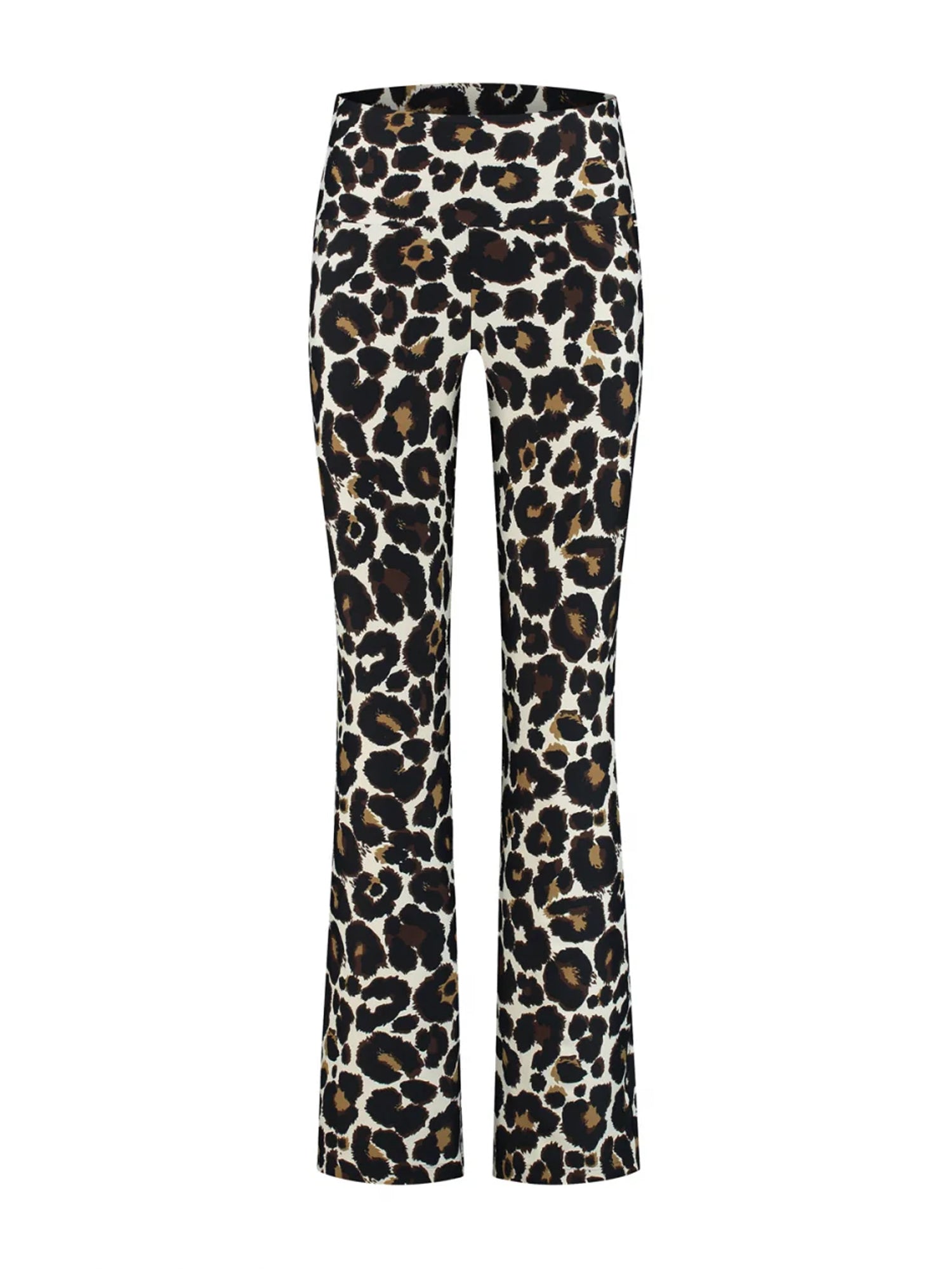 Celine Flared Leo-Legging